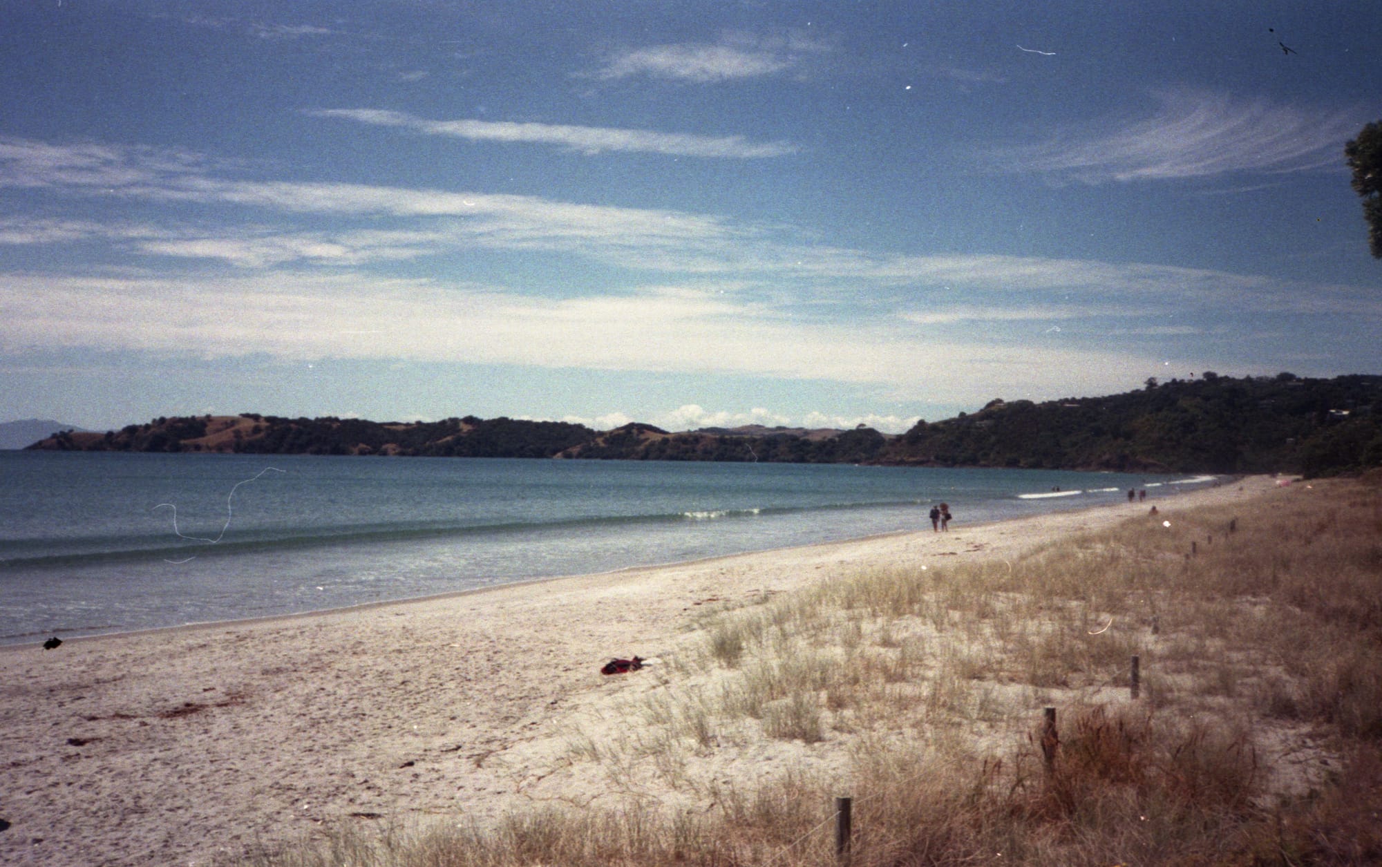 life on film