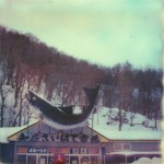 polaroid photograph of a big fish sign on top of a building in hokkaido, japan. copyright leonie wise. all rights reserved