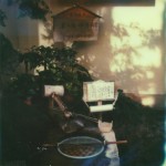 polaroid photograph of eggs in a basket. copyright leonie wise. all rights reserved