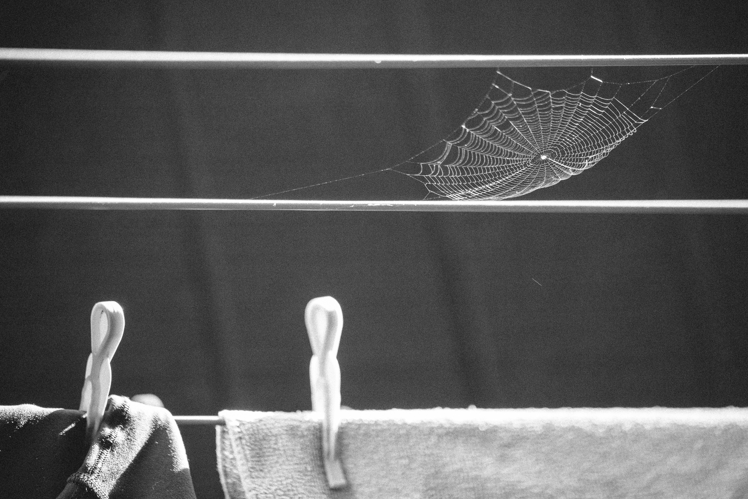 Small spider web on washing line (c) Leonie Wise