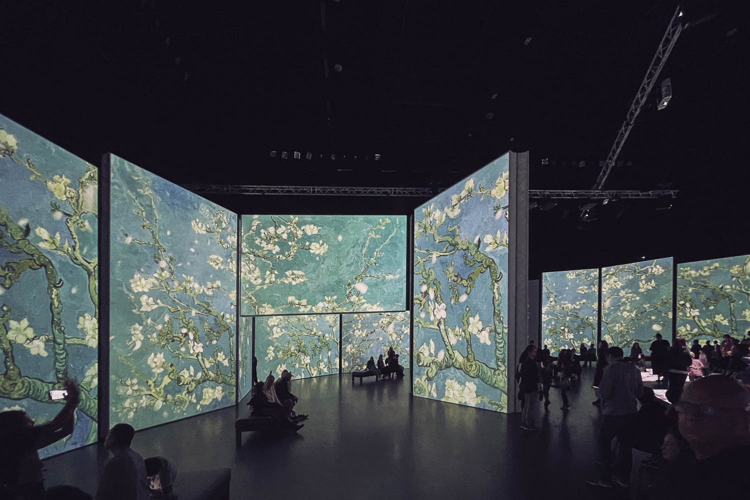 van gogh alive interactive exhibition showing screens of his work