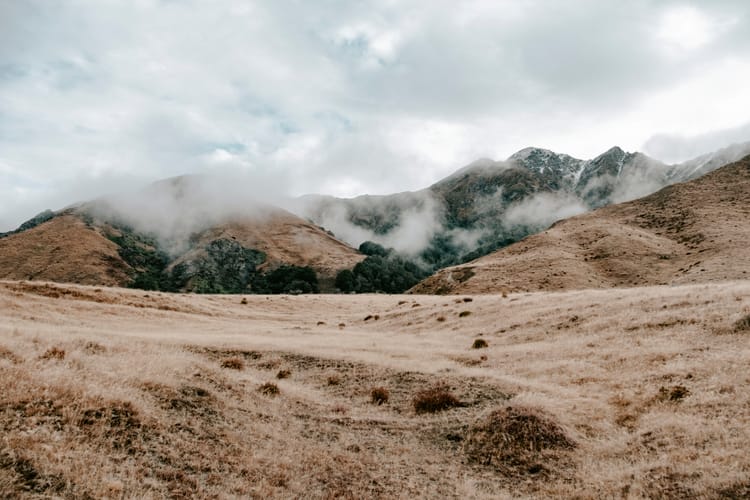 nz travel • head for the hills