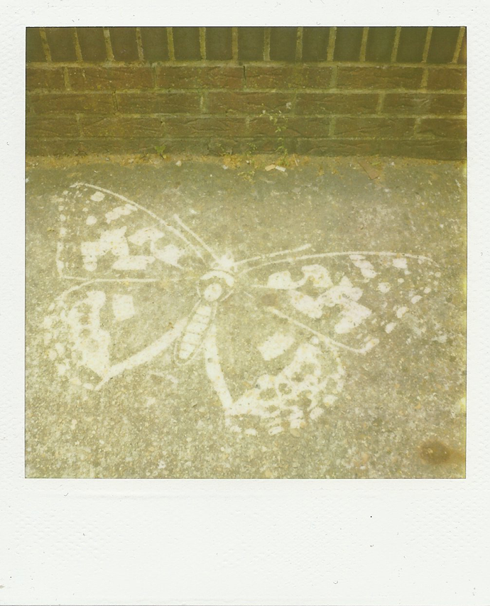 polaroid sx-70, 779 film by leonie wise