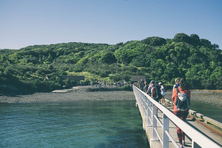 Tiritiri Matangi