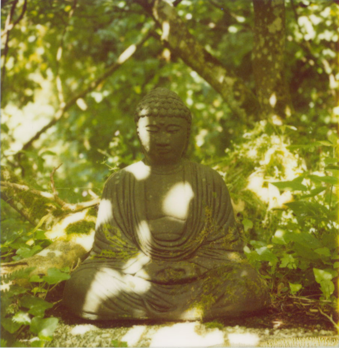 buddha statue amongst green trees