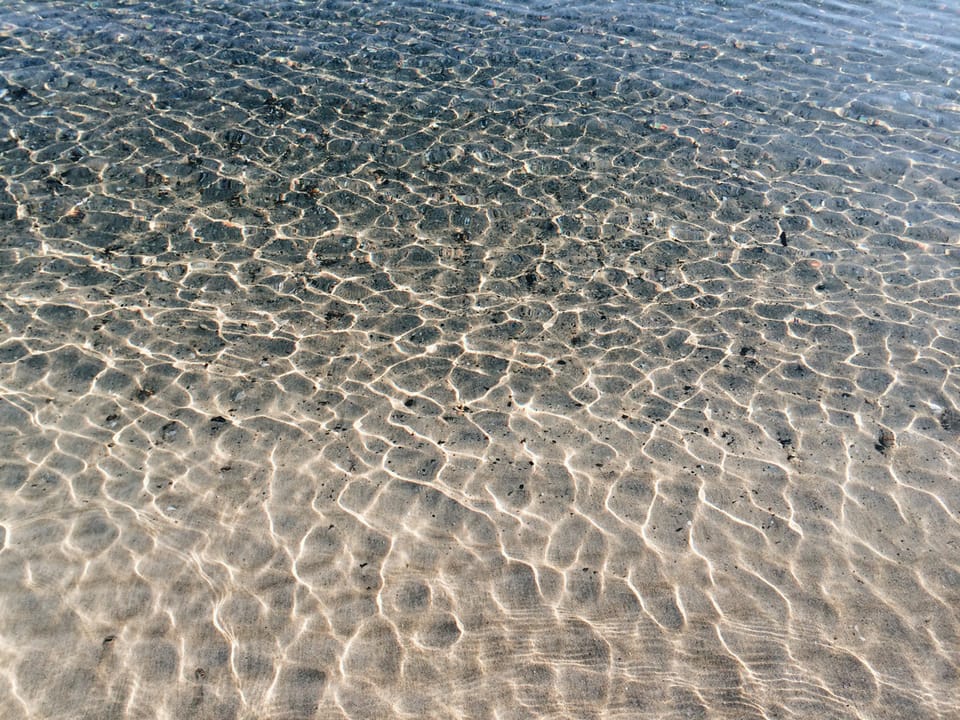 August Break 2014 day 2 - Patterns in the water at Palm Beach, Waiheke Island. (c) Leonie Wise (www.leoniewise.com)
