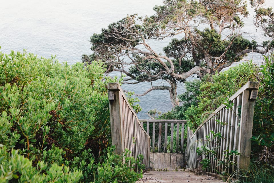 looking down a stairway through the bush to the sea. by leonie wise