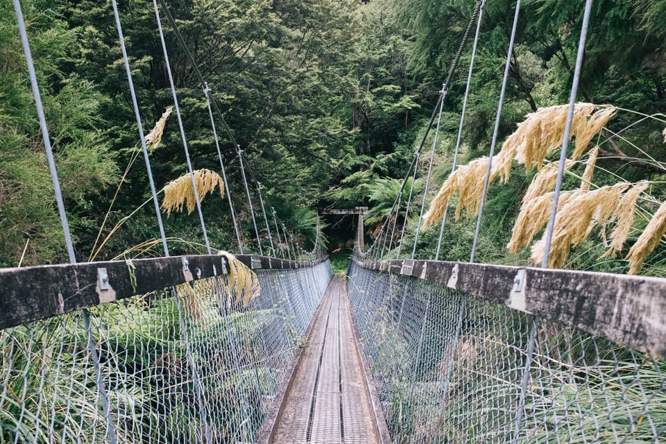 A swing bridge on the Waikaremoana track in New Zealand © Leonie Wise