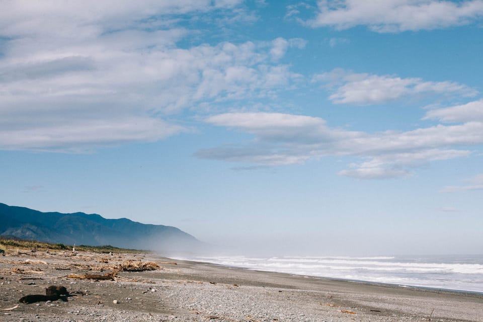 Beach, on the west coast of the South Island of New Zealand © Leonie Wise