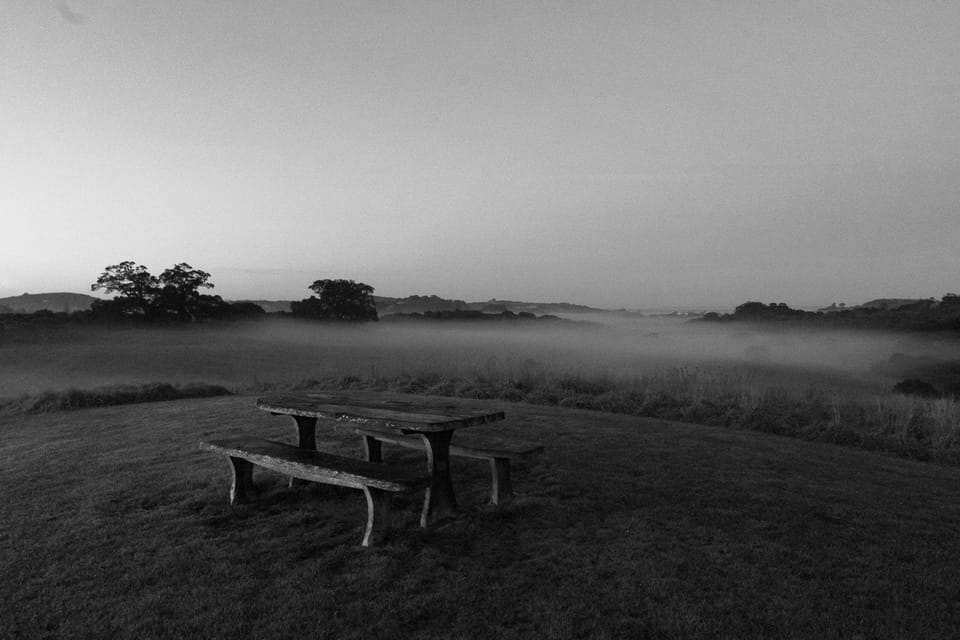 morning fog at te toki park waiheke island (c) leonie wise